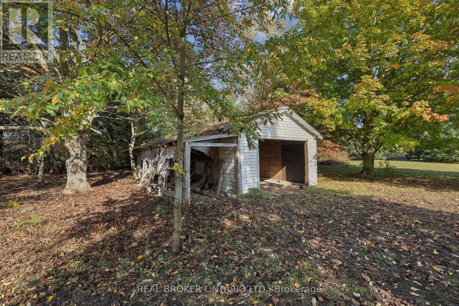 5649 25 Side Road Property Photo 6