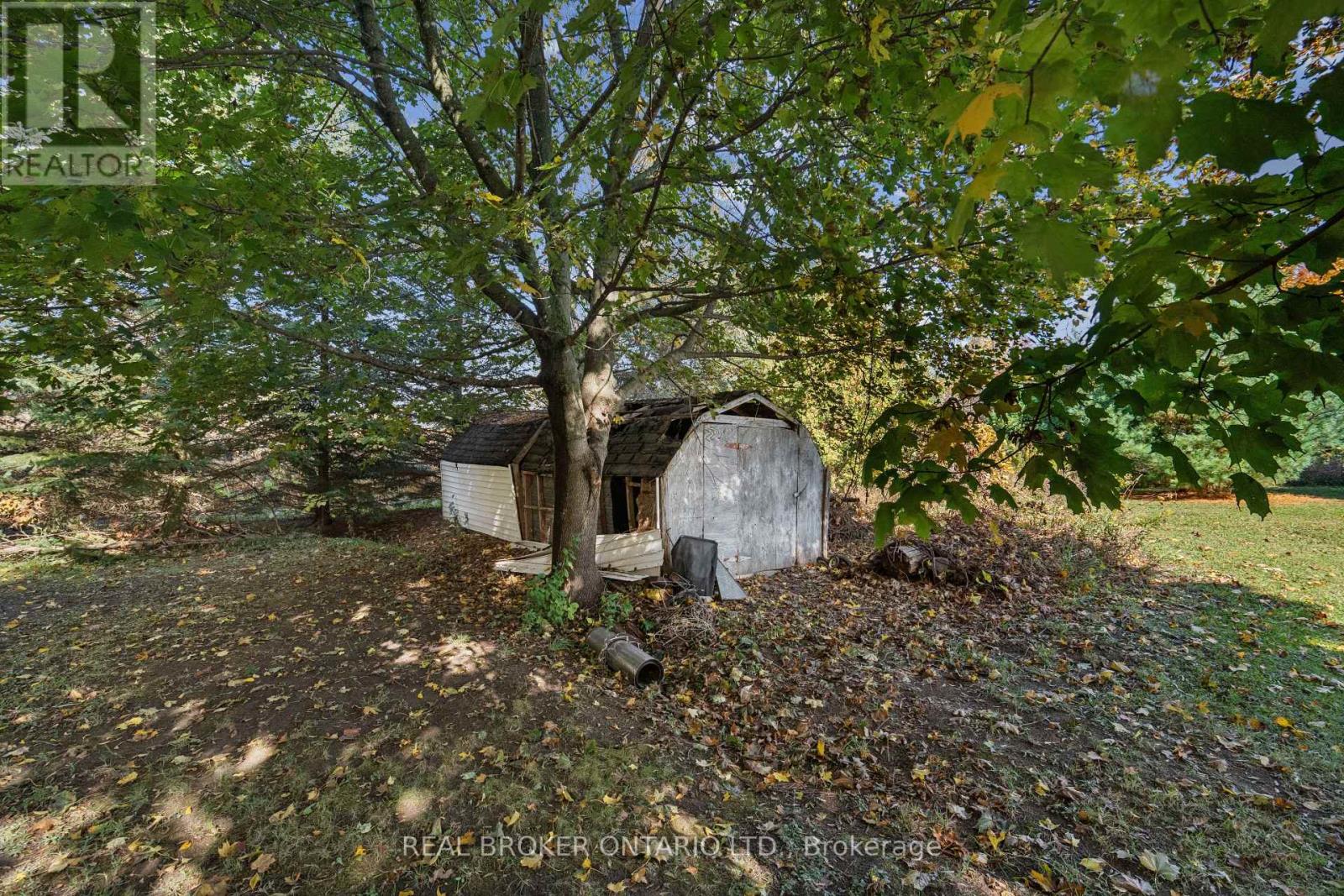 5649 25 Side Road Property Photo 7