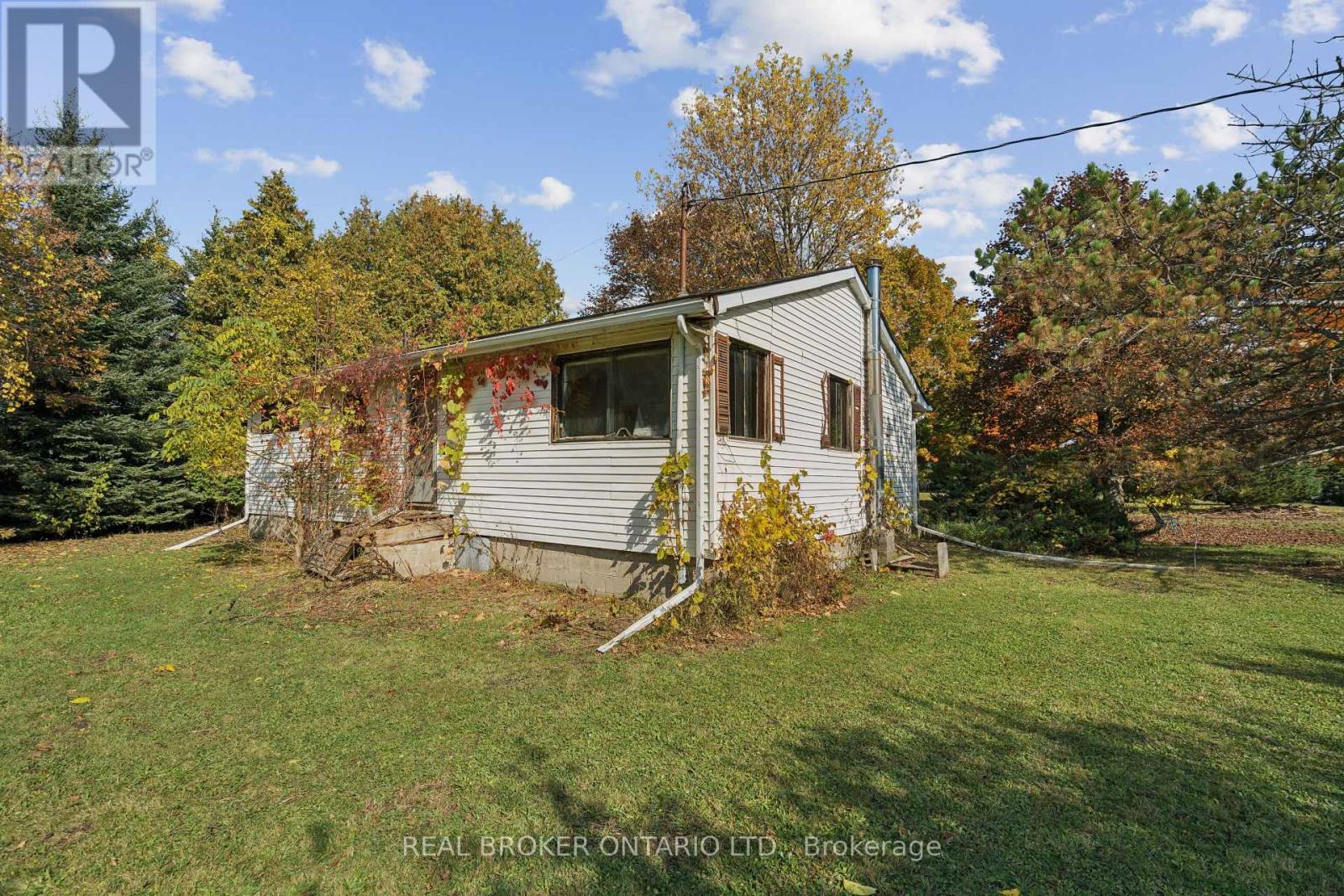 5649 25 Side Road Property Photo 9