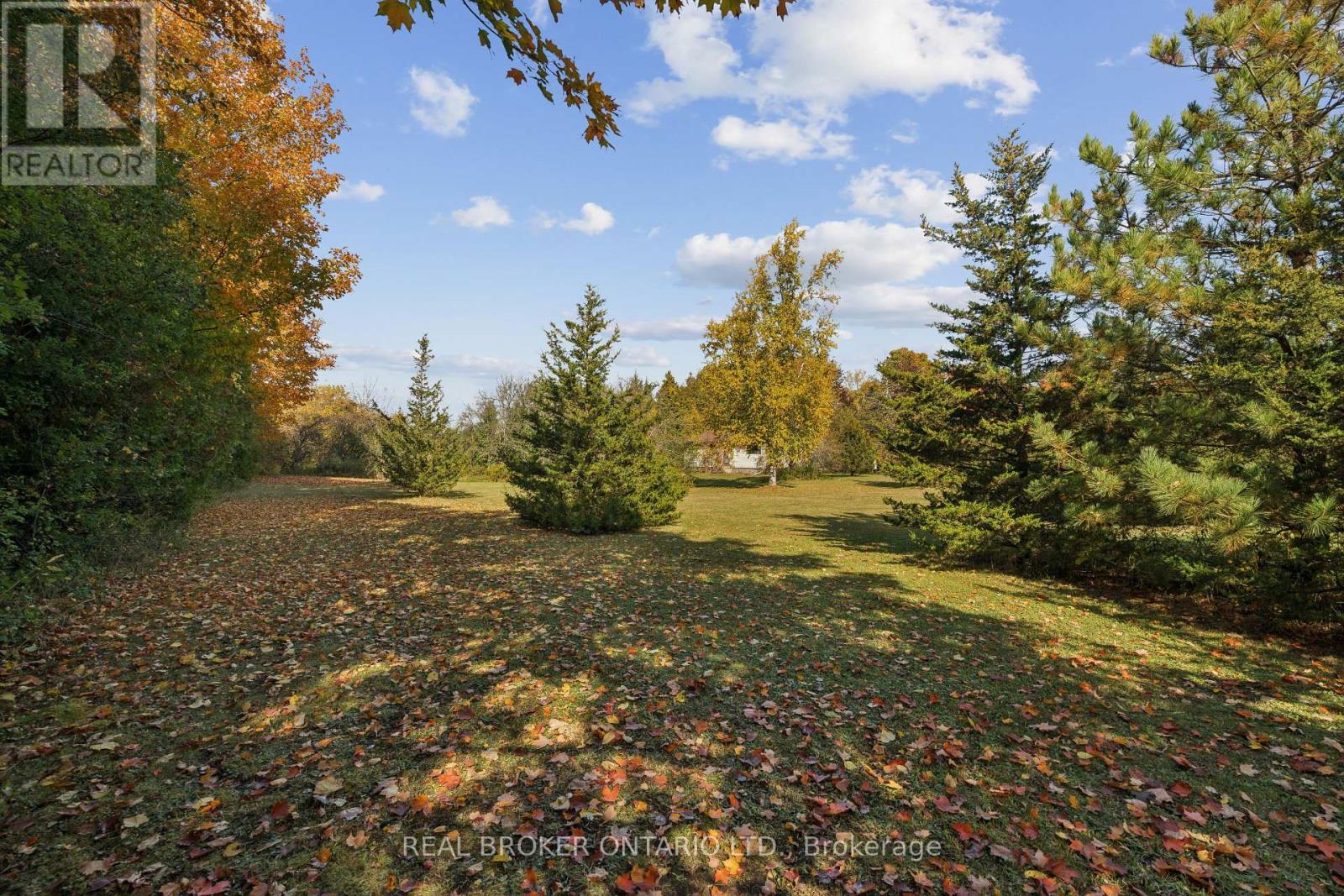 5649 25 Side Road Property Photo 13