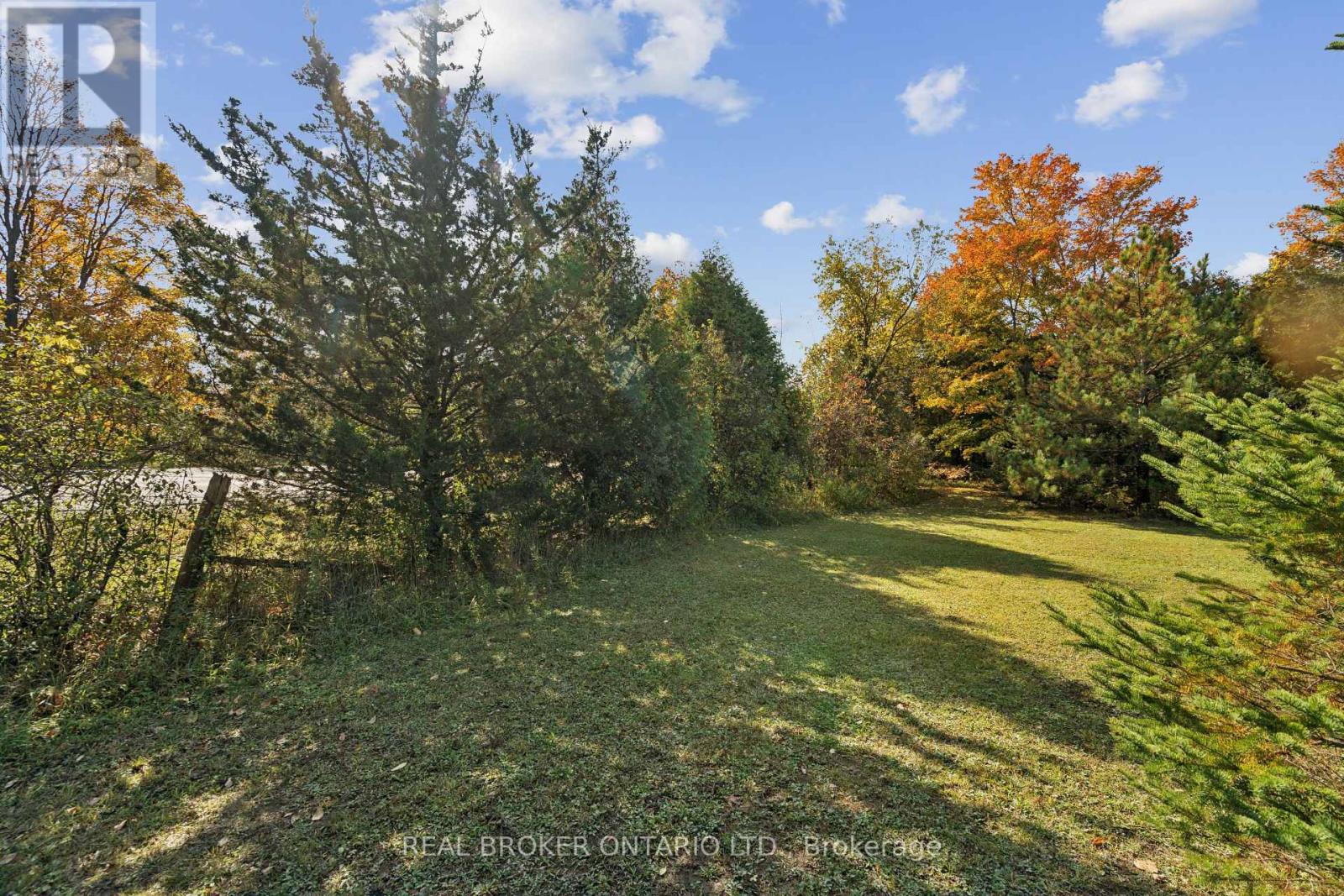5649 25 Side Road Property Photo 14