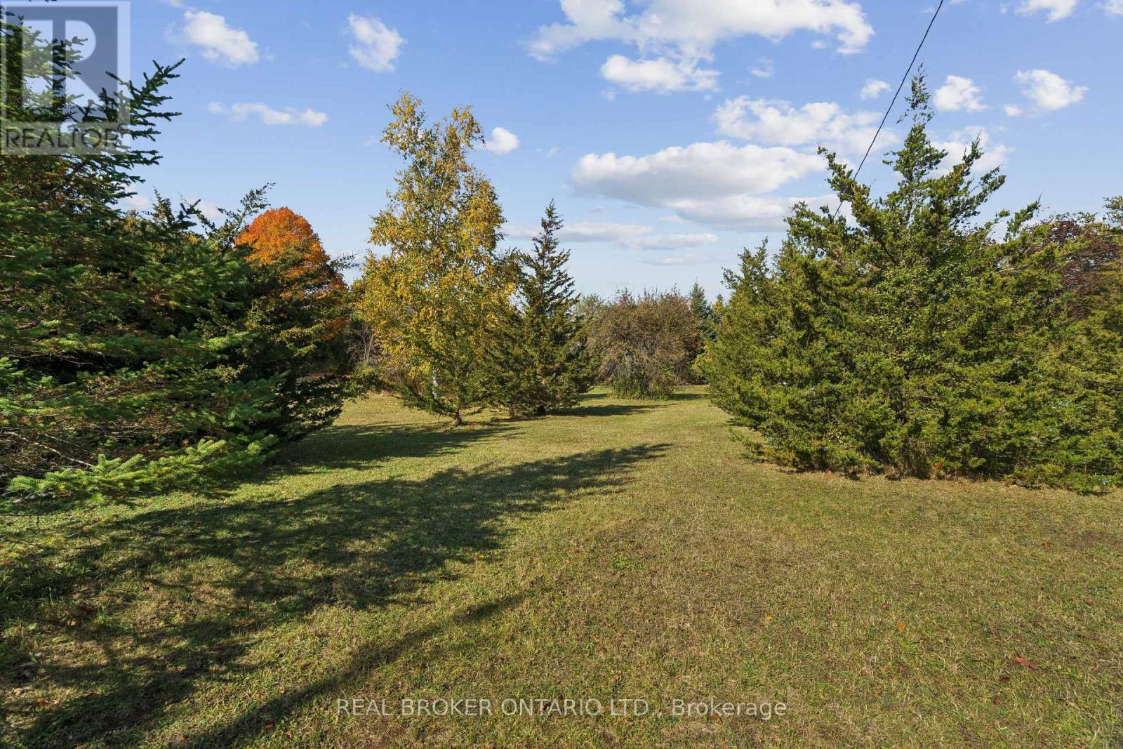 5649 25 Side Road Property Photo 15