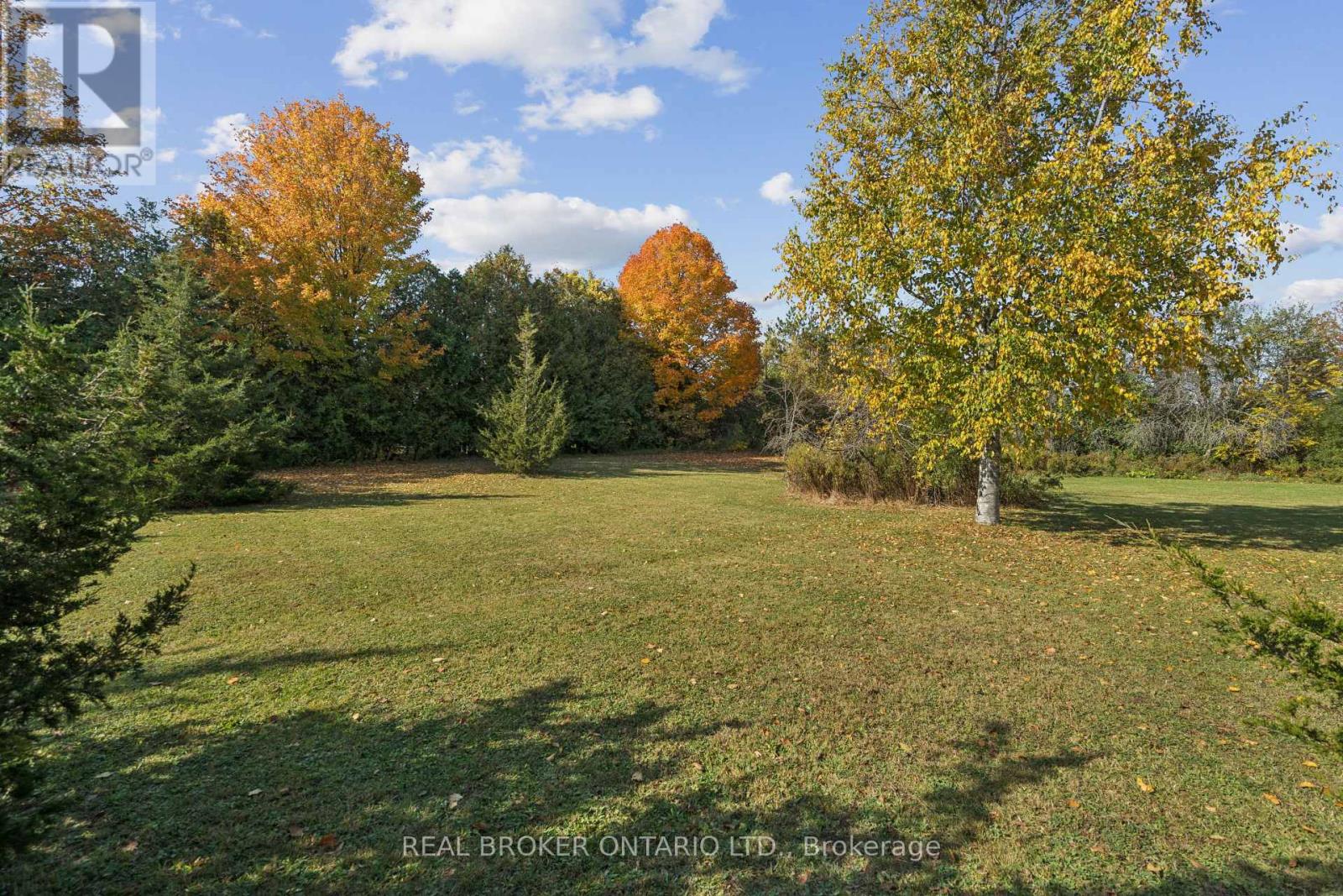 5649 25 Side Road Property Photo 16