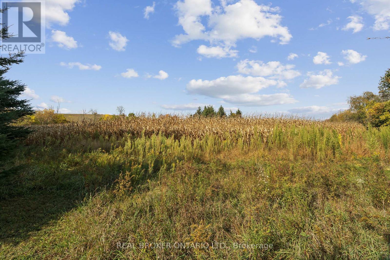 5649 25 Side Road Property Photo 17