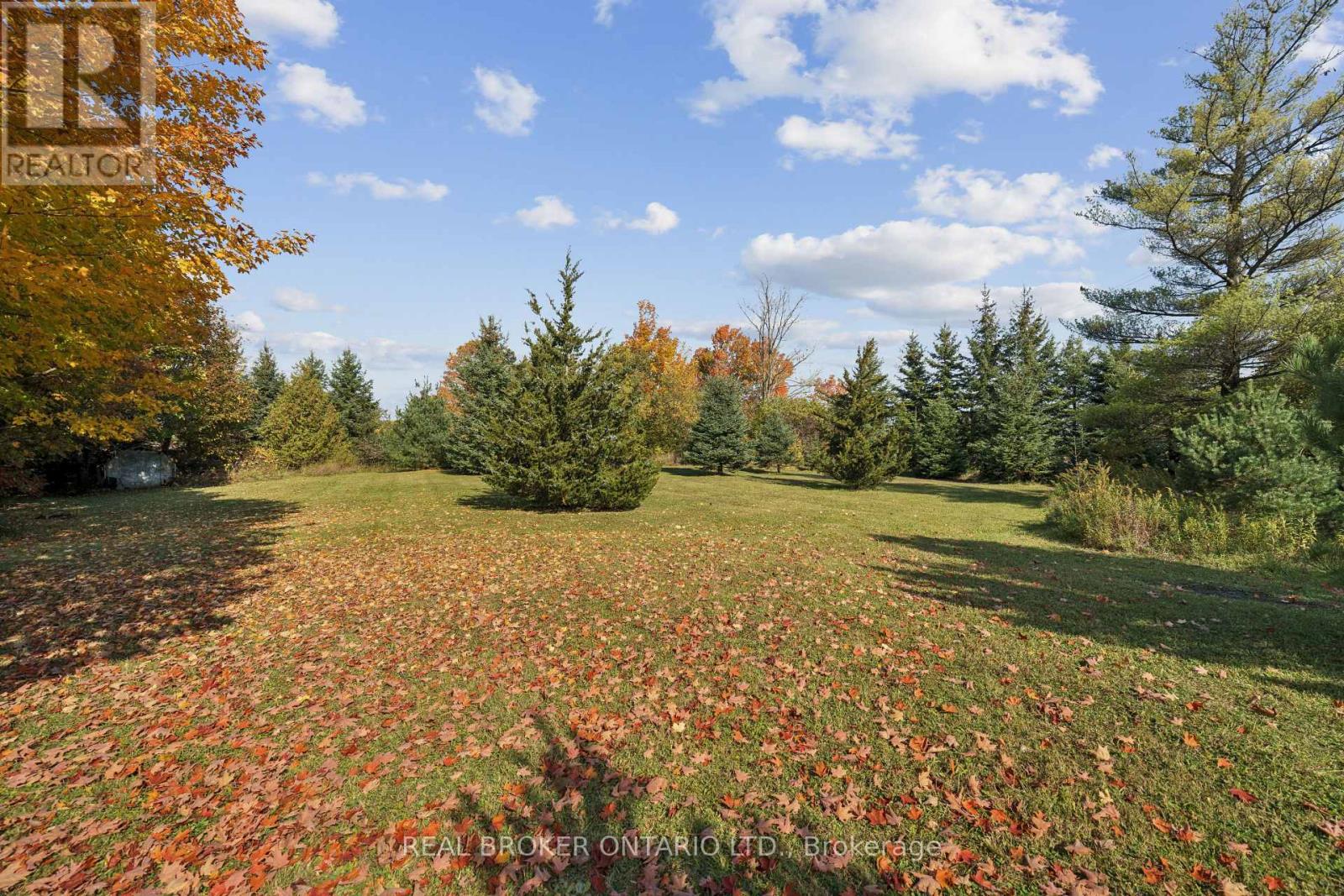 5649 25 Side Road Property Photo 23