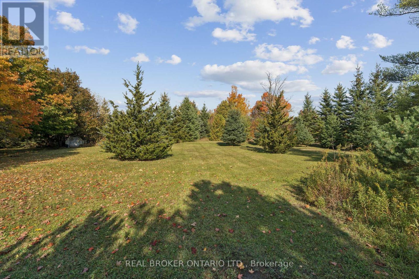 5649 25 Side Road Property Photo 24