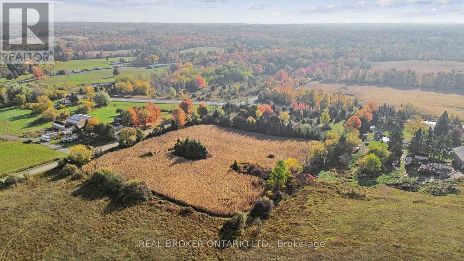 5649 25 Side Road Property Photo 28
