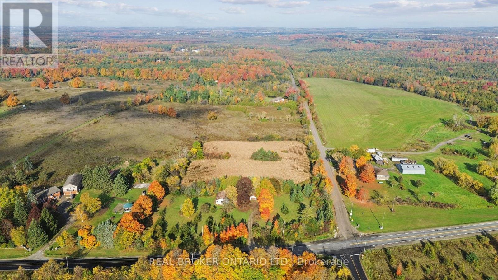 5649 25 Side Road Property Photo 30