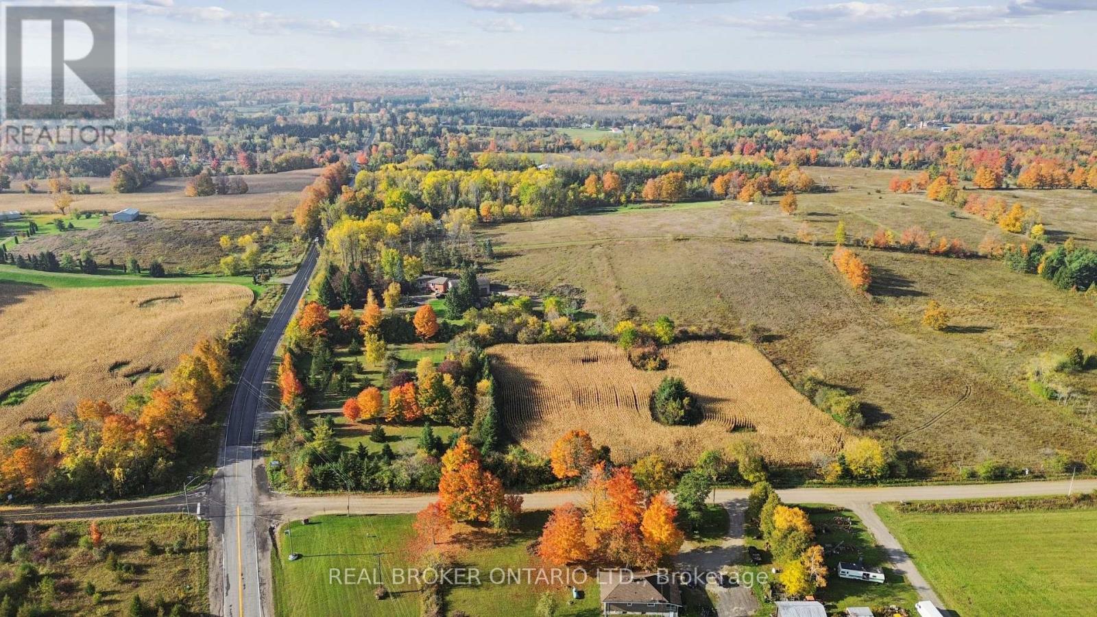 5649 25 Side Road Property Photo 31