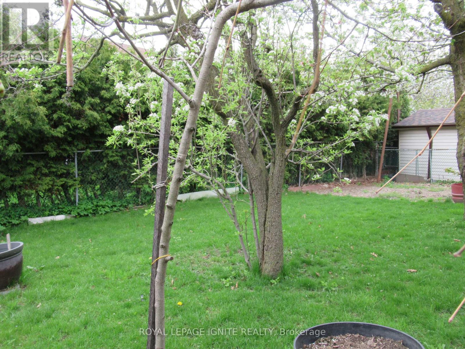 8 Newlove Court Property Photo 22