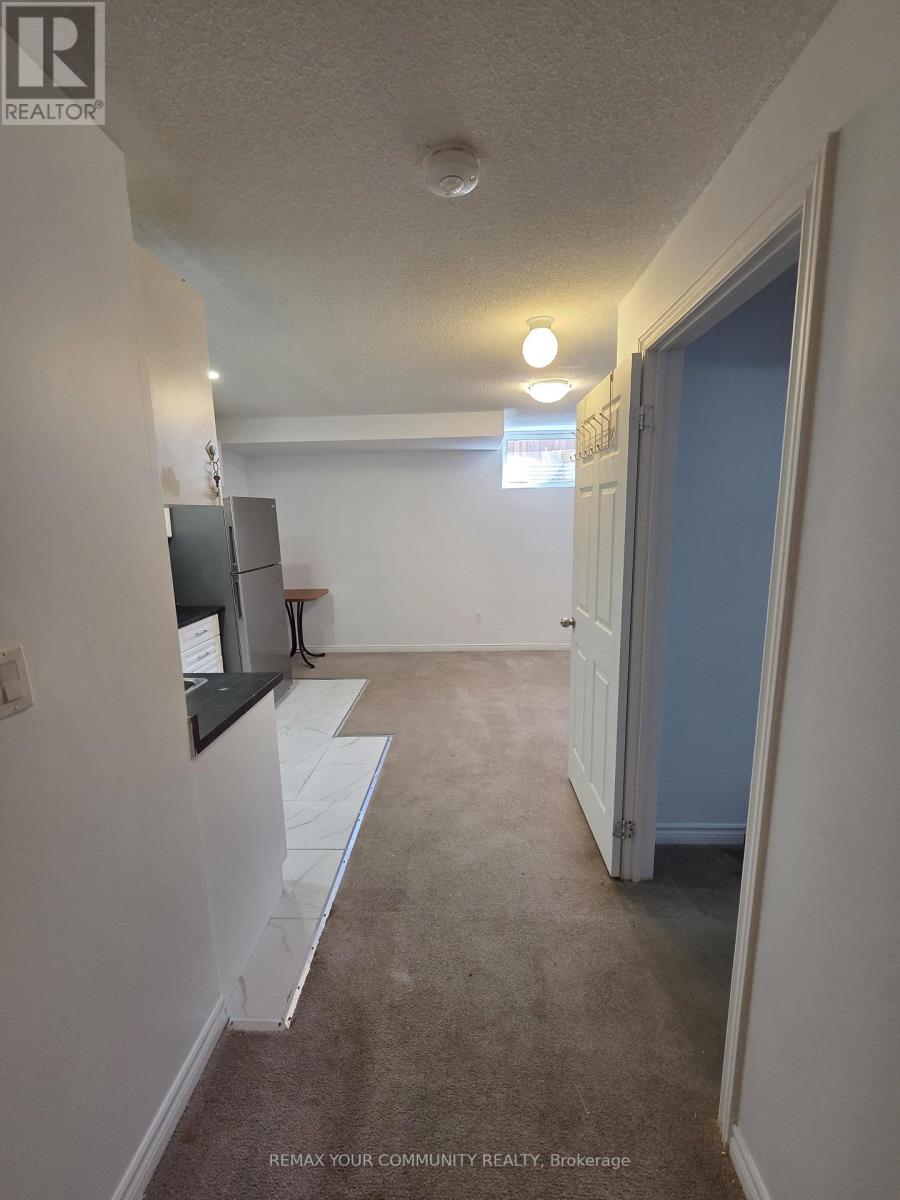 Basement - 510 Downes Jackson Heights Property Photo 5