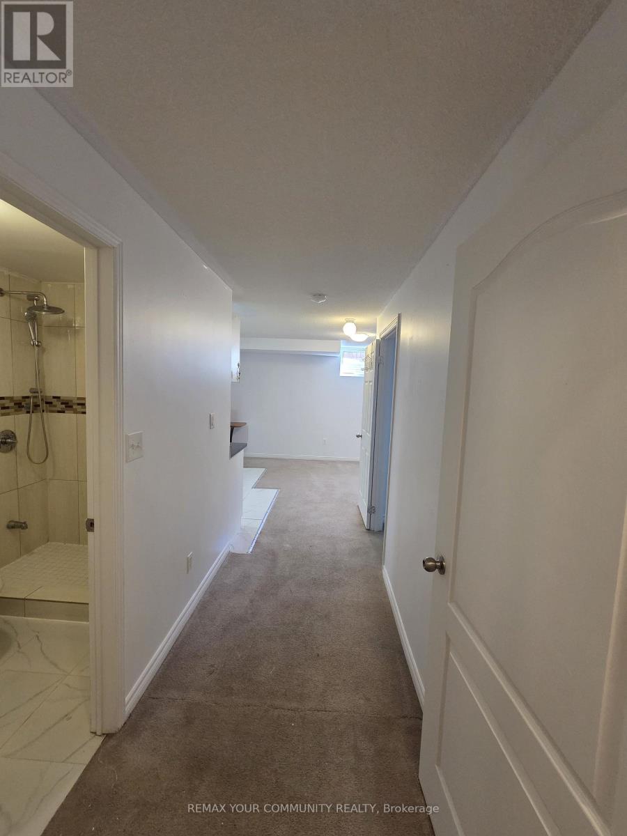 Basement - 510 Downes Jackson Heights Property Photo 6