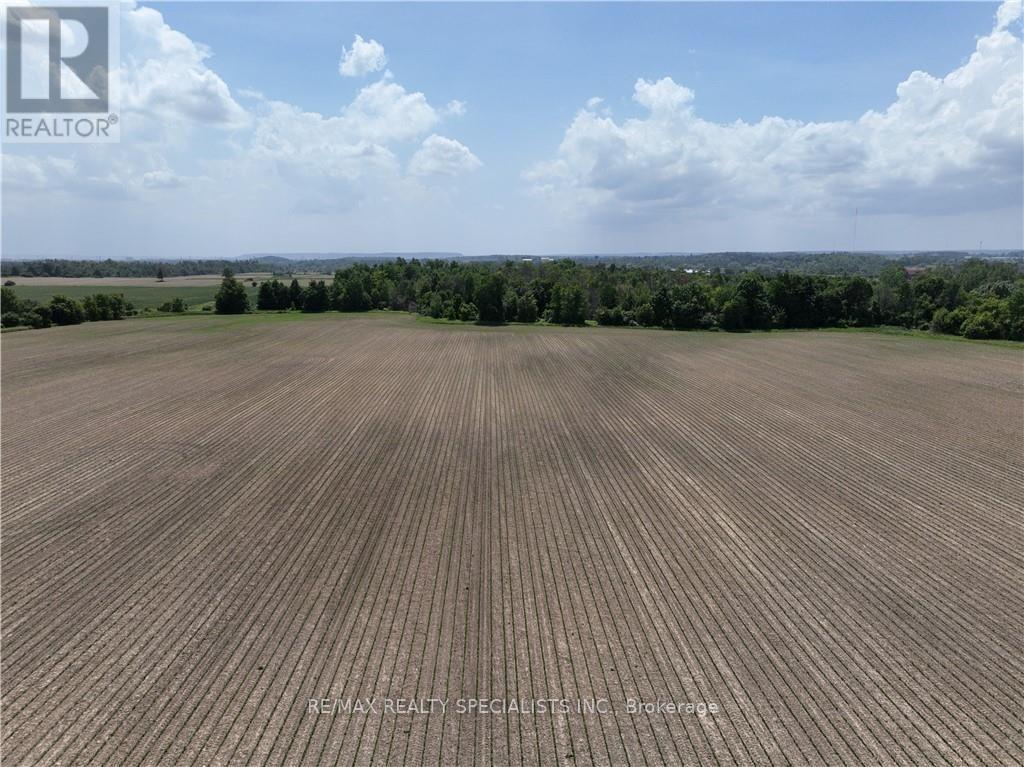 8790 Ninth Line Property Photo 6