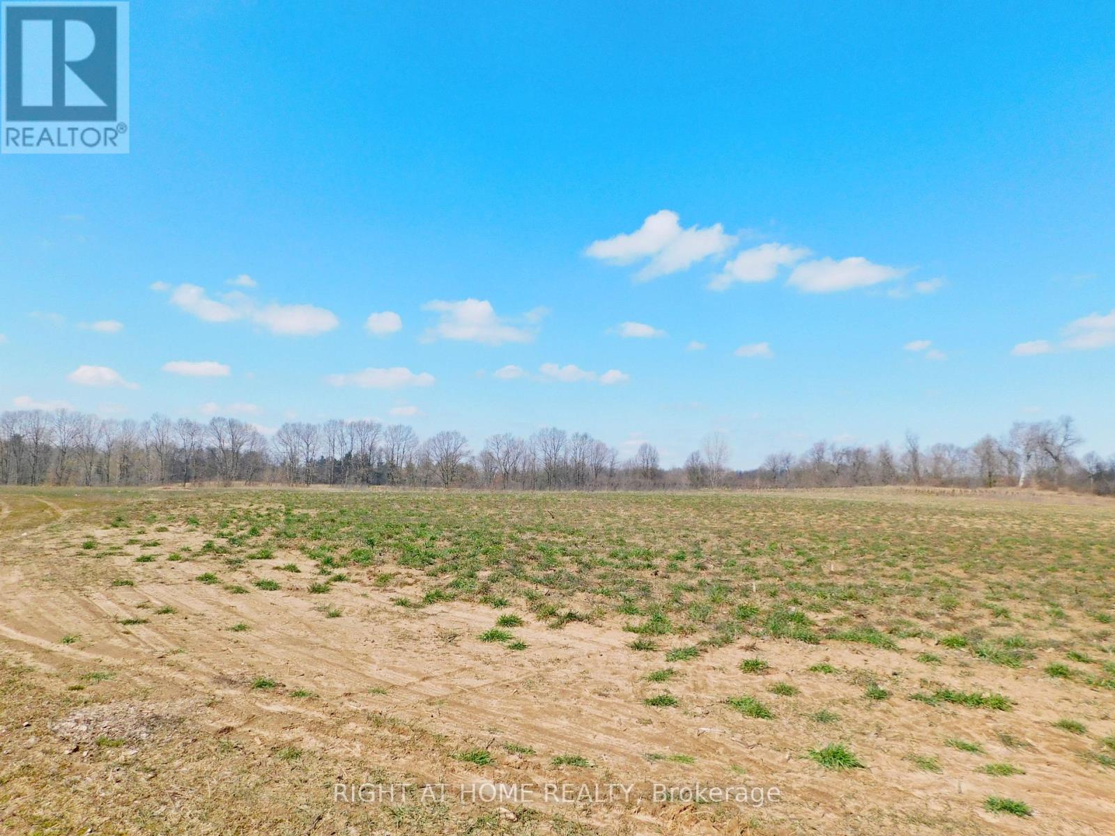 1101 Derry Road Property Photo 19