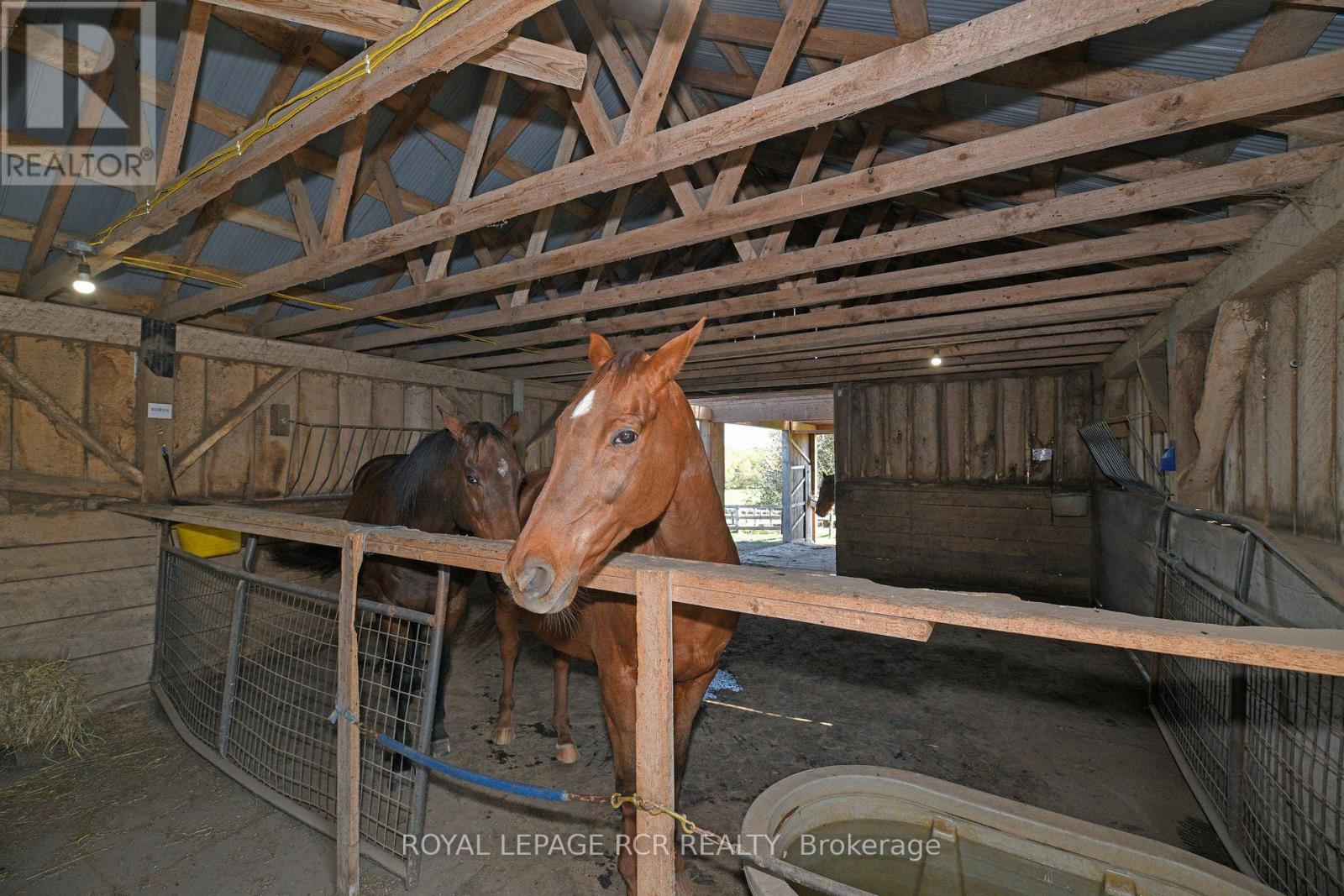 071533 10th Line Property Photo 17