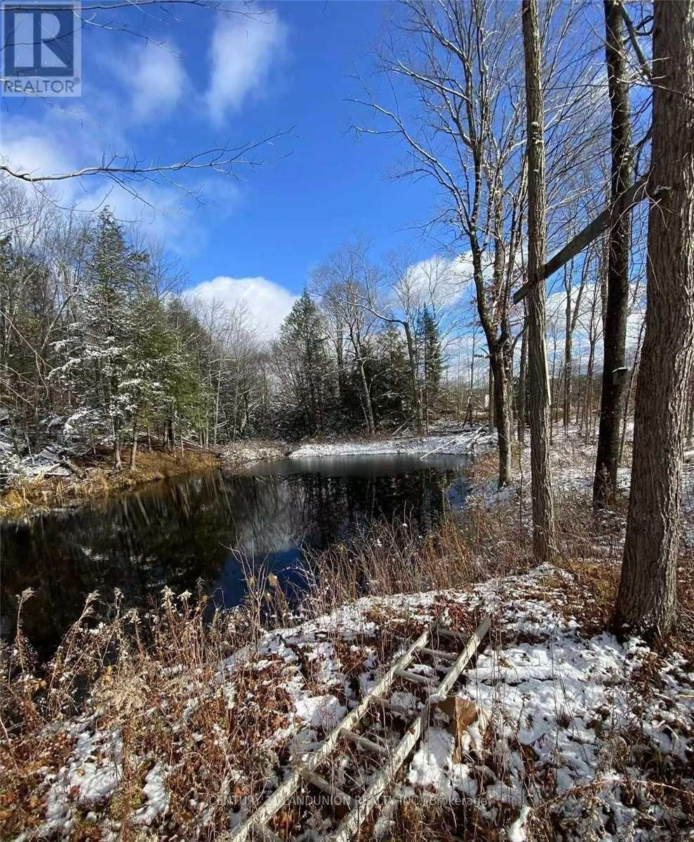 1091 Crystal Lake Road Property Photo 6