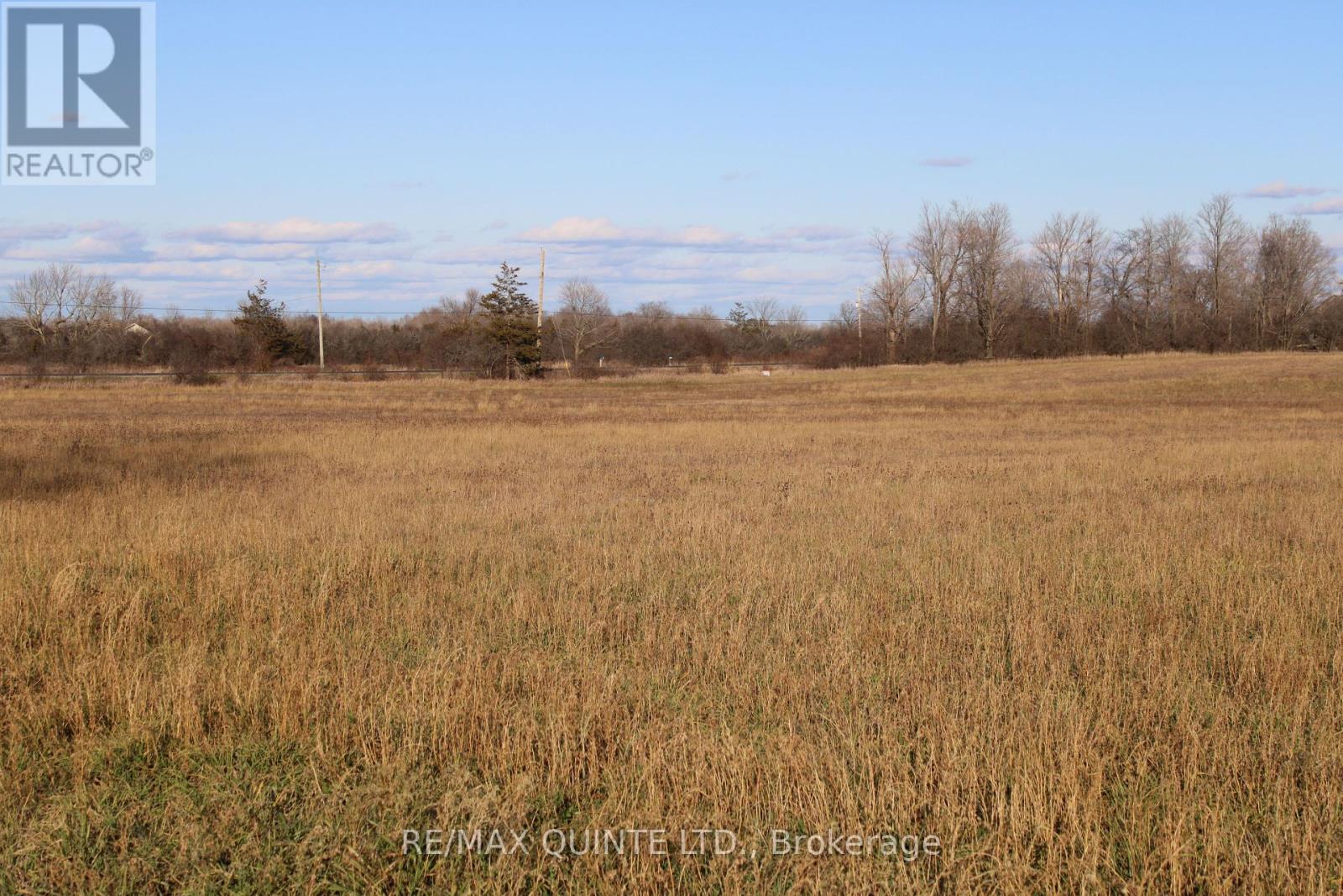 3511 County Road 1 Property Photo 6