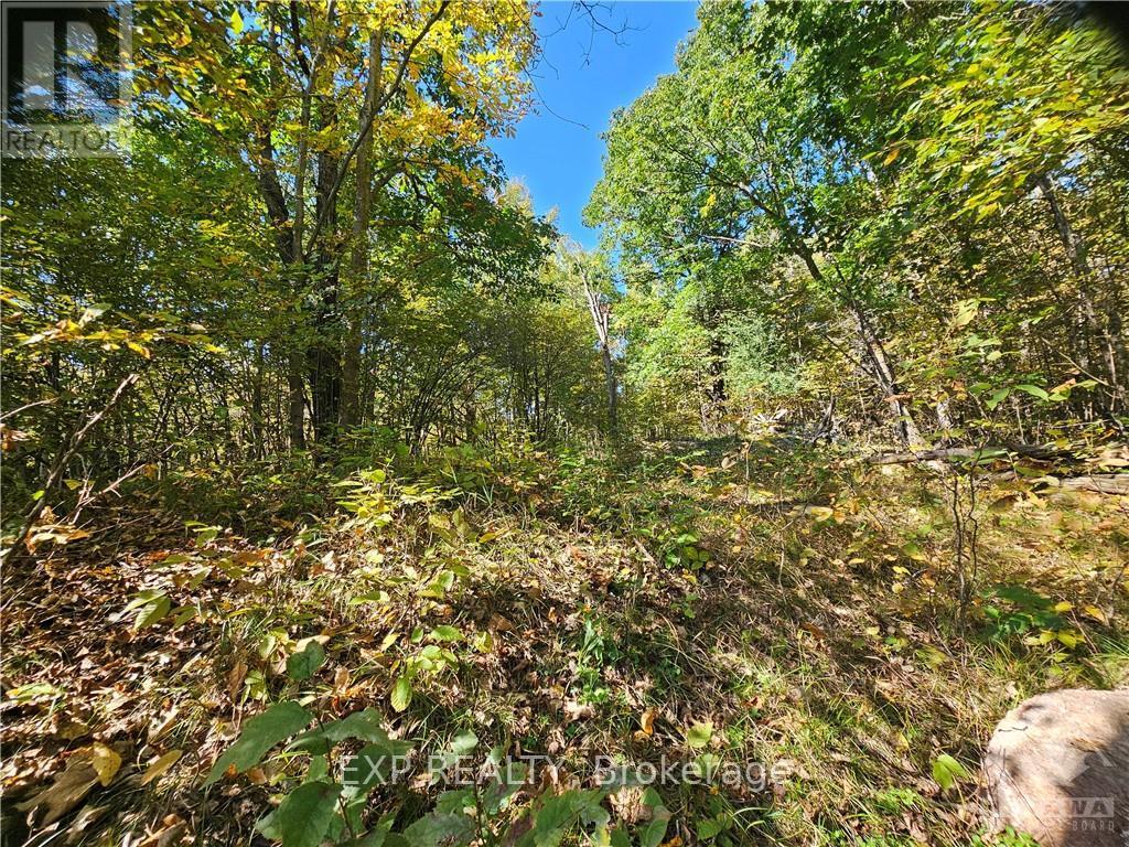 752 Bennett Lake Road Property Photo 9