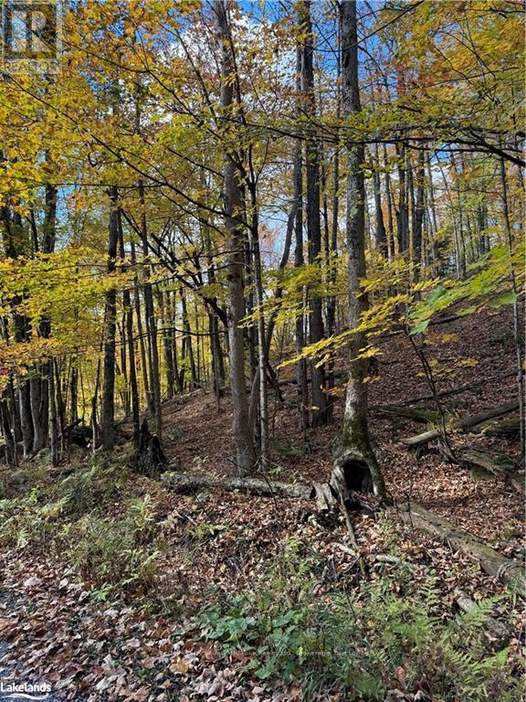 353C BALSAM CREEK ROAD Property Photo 1