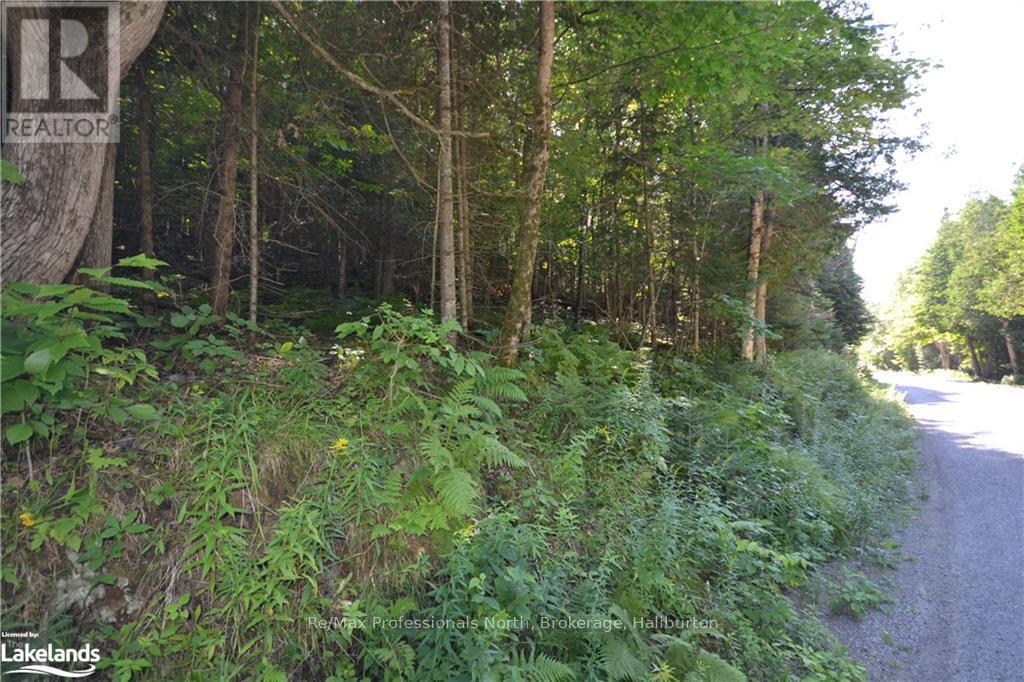 0 Fred Jones Road Property Photo 3