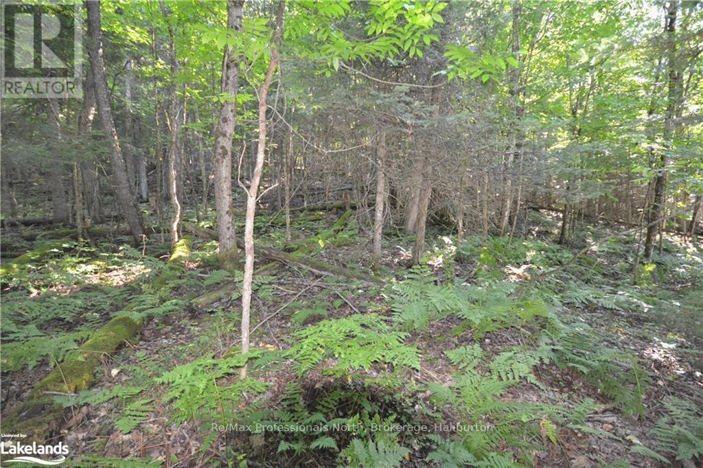 0 Fred Jones Road Property Photo 5