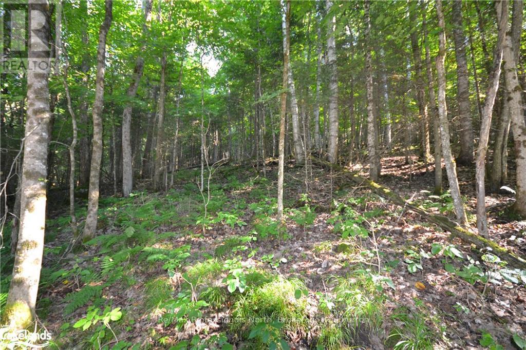 0 Fred Jones Road Property Photo 9