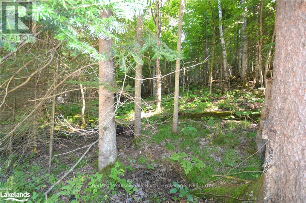 0 Fred Jones Road Property Photo 13