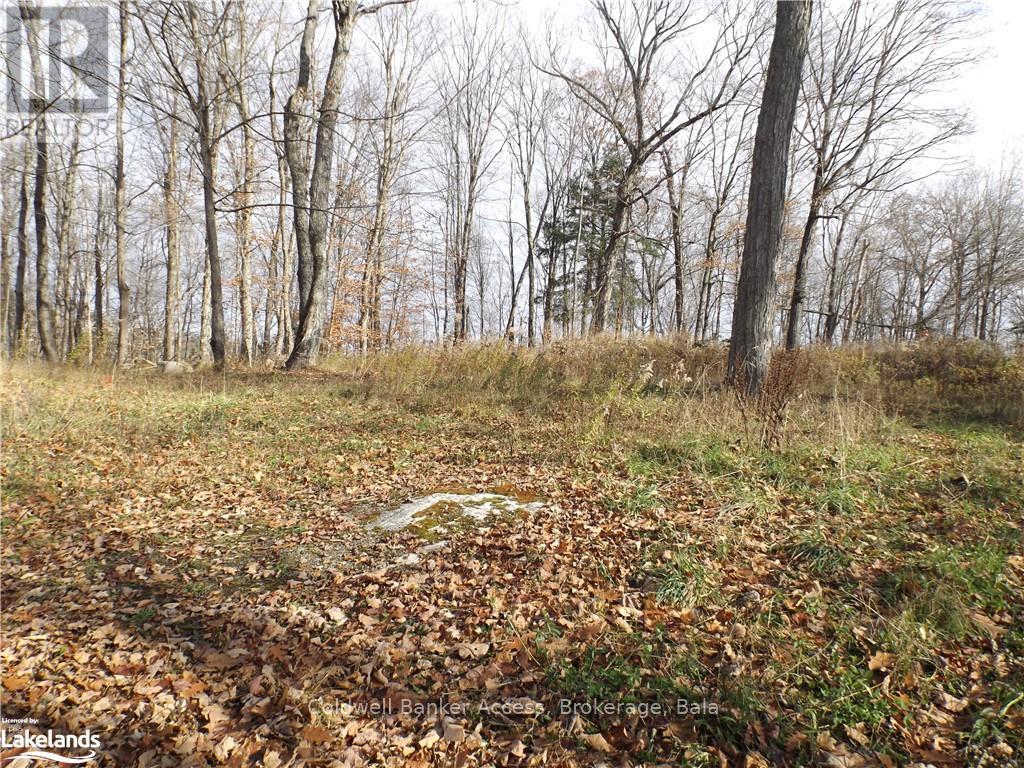 3 - 1019 Carl's Road Property Photo 2