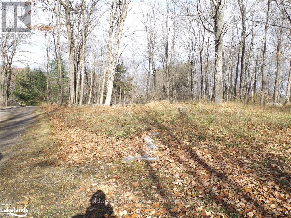 3 - 1019 Carl's Road Property Photo 3