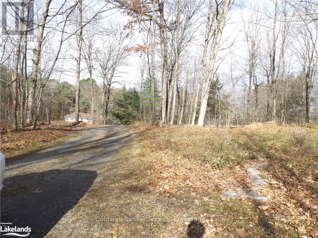 3 - 1019 Carl's Road Property Photo 4