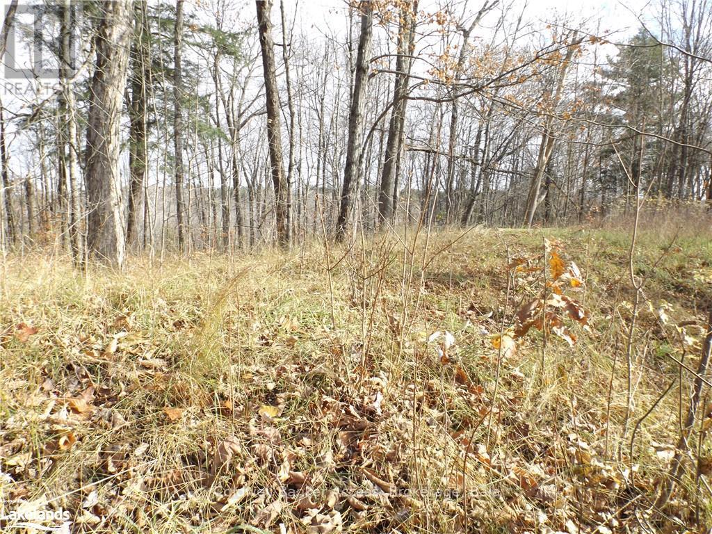 3 - 1019 Carl's Road Property Photo 7