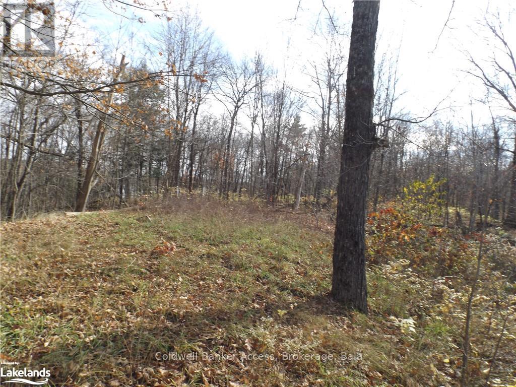 3 - 1019 Carl's Road Property Photo 8