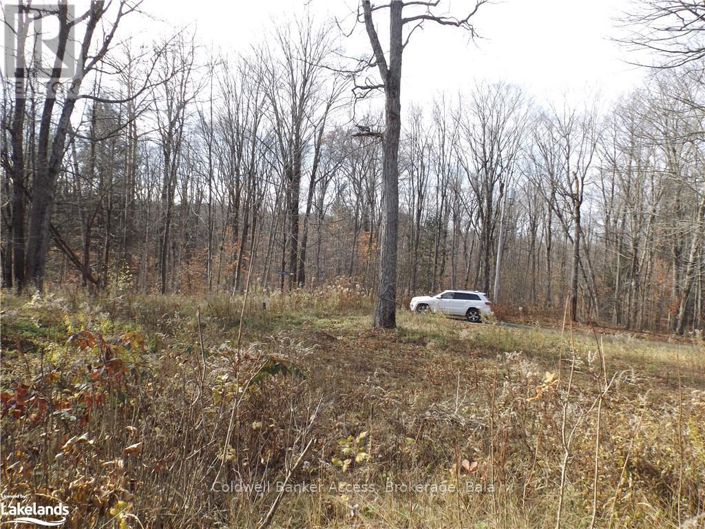 3 - 1019 Carl's Road Property Photo 9