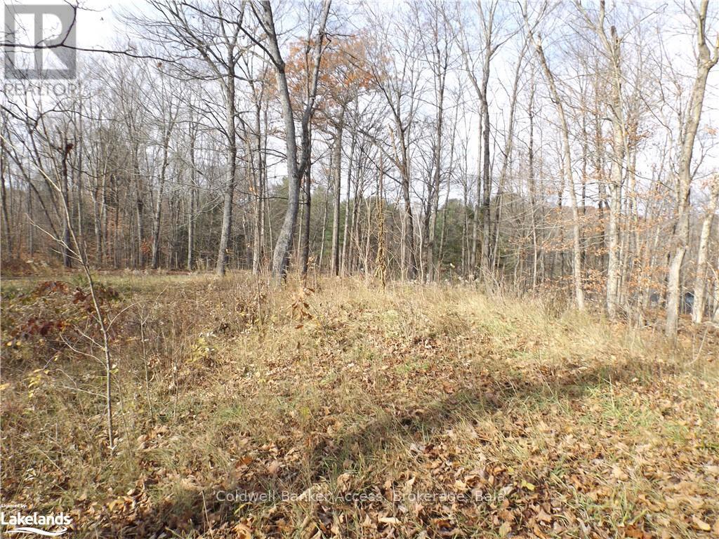 3 - 1019 Carl's Road Property Photo 10