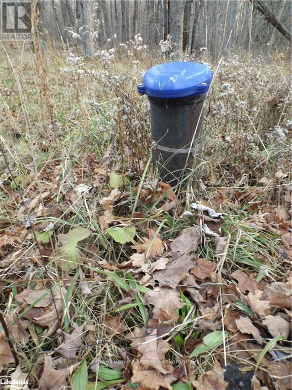 3 - 1019 Carl's Road Property Photo 11
