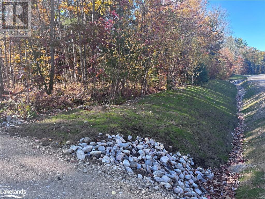 Lot 5 Property Photo 6