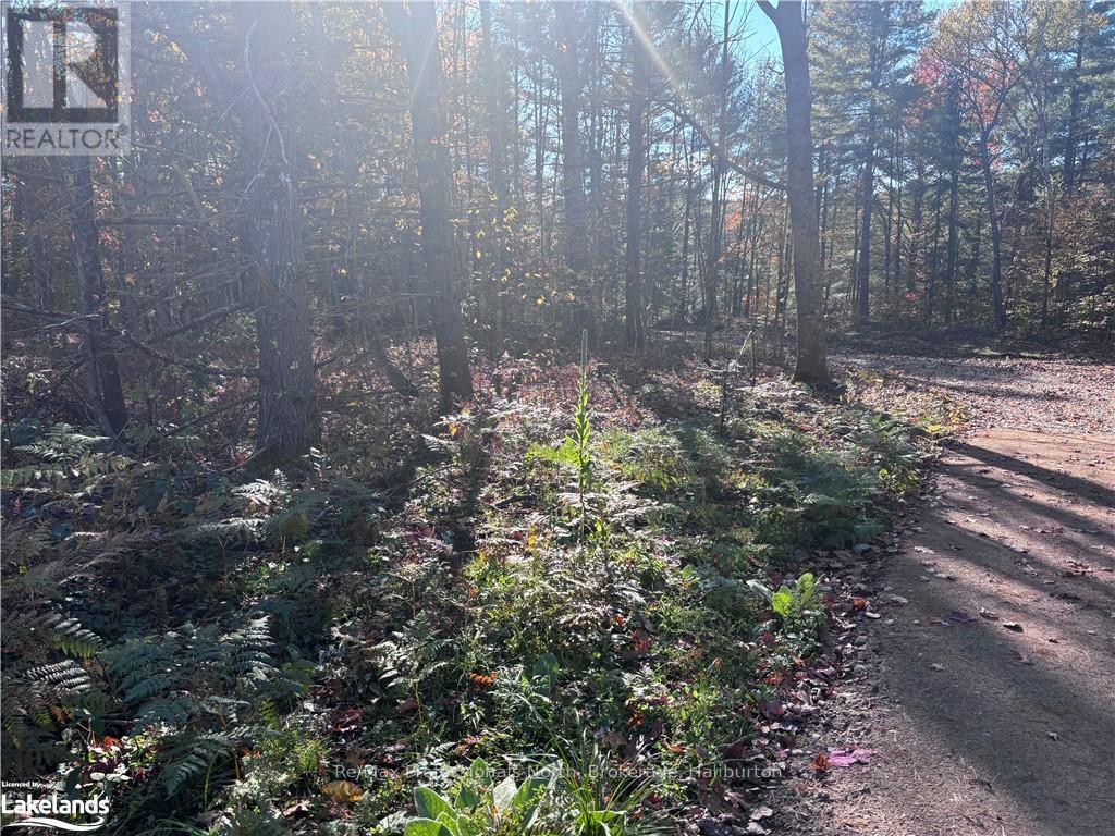 Lot 5 Property Photo 7