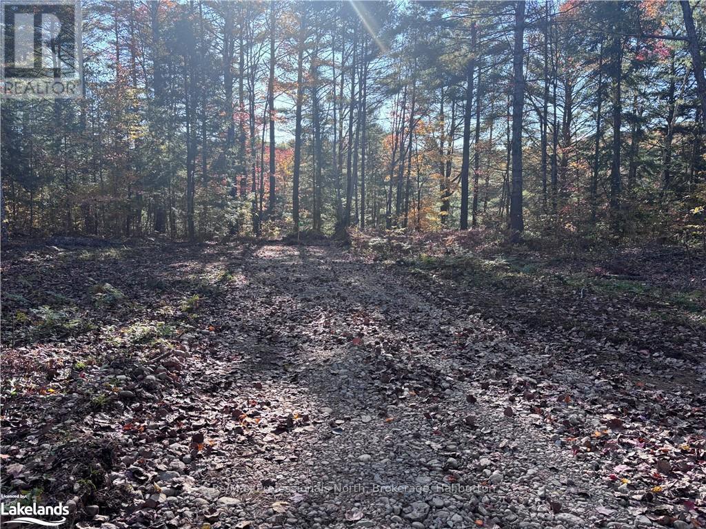 Lot 5 Property Photo 8