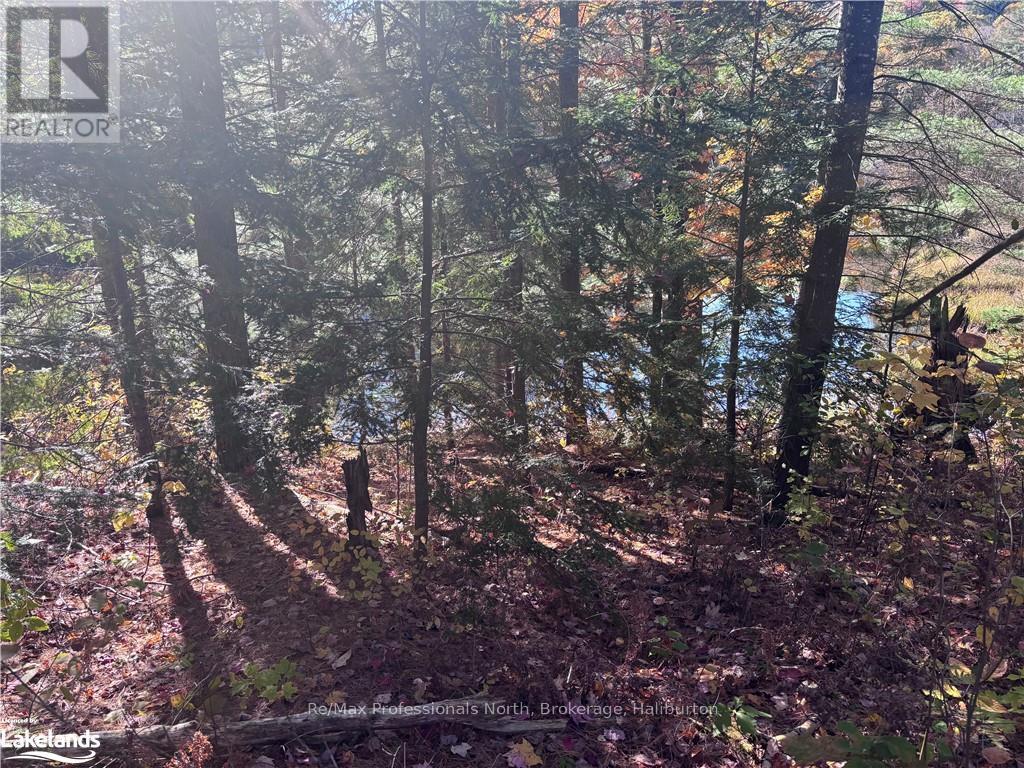 Lot 5 Property Photo 9