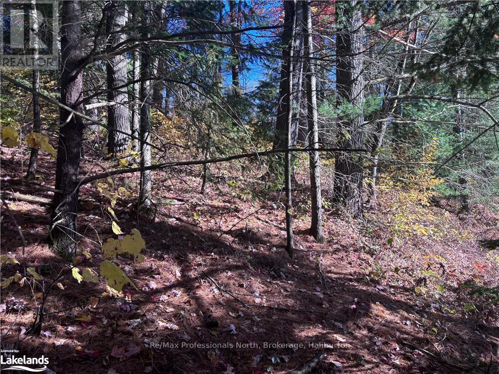 Lot 5 Property Photo 11