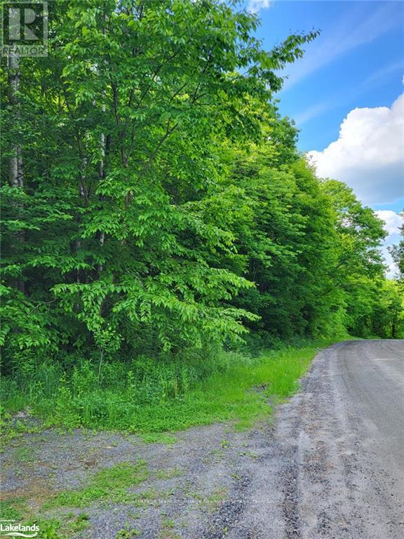 0 Haines Lake Road Property Photo