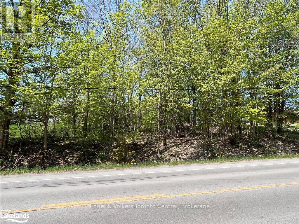 Part Lot 31 1 Grey Road Property Photo 6