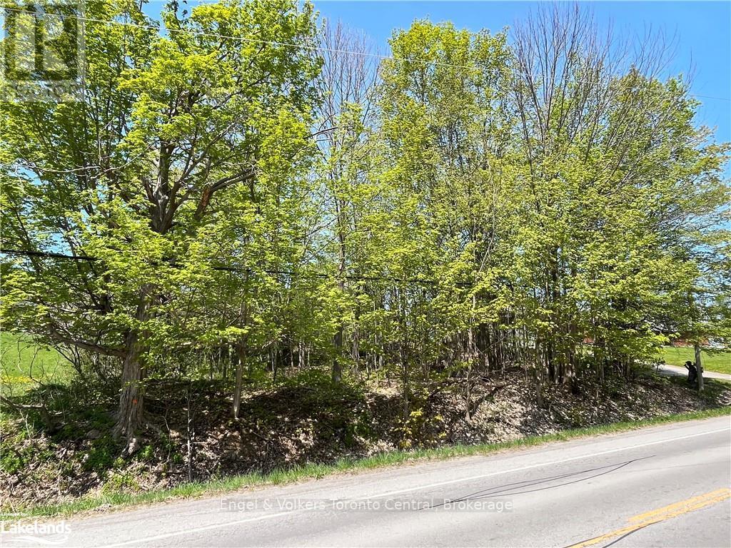 Part Lot 31 1 Grey Road Property Photo 7