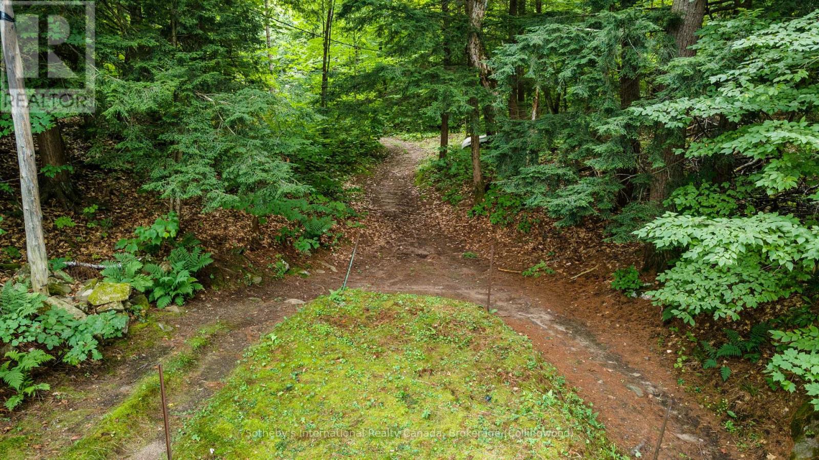 4202 Go Home Lake Shr Property Photo 27