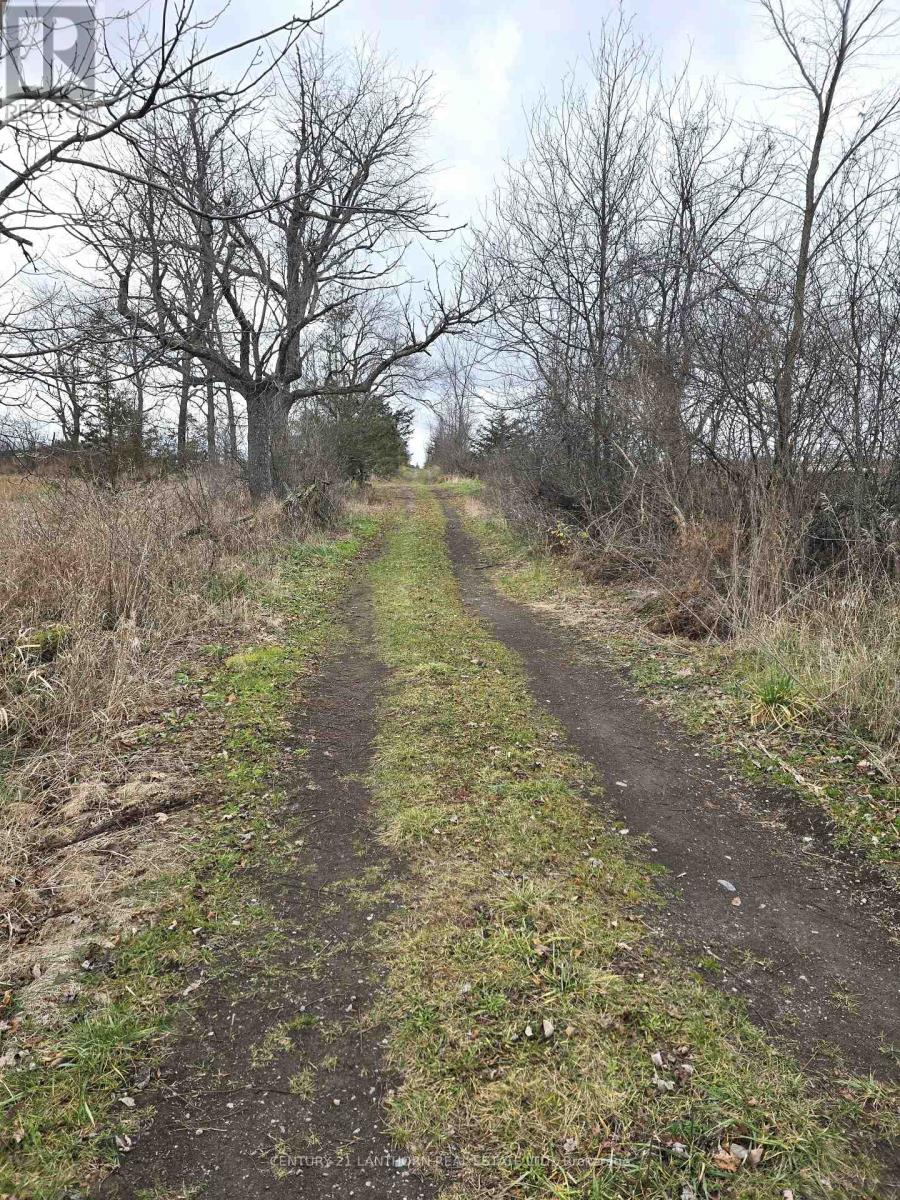 5208 County Road 41 Road Property Photo 31