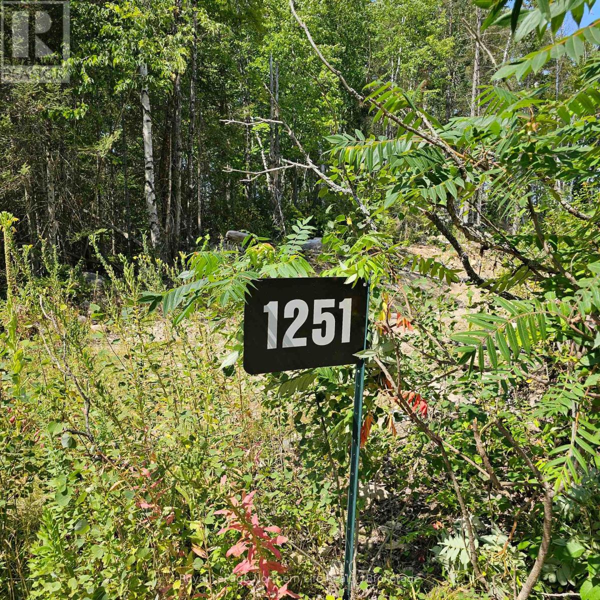 1251 SNAKE CREEK ROAD Property Photo 1