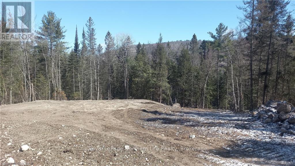 1251 Snake Creek Road Property Photo 2