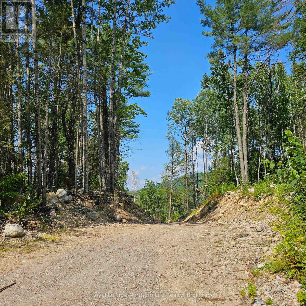 1251 Snake Creek Road Property Photo 2