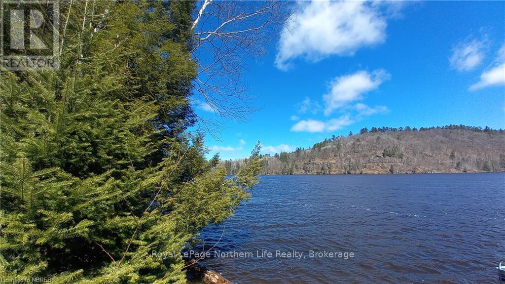 1251 Snake Creek Road Property Photo 3