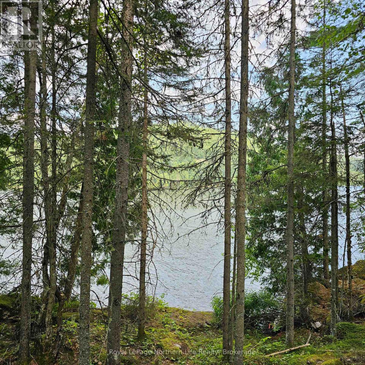 1251 Snake Creek Road Property Photo 3